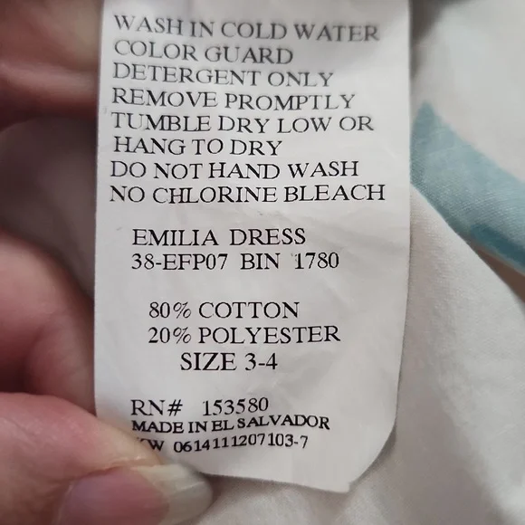 Eleanor Rose pumpkin Thanksgiving Dress Size 3-4 - Picture 3 of 3